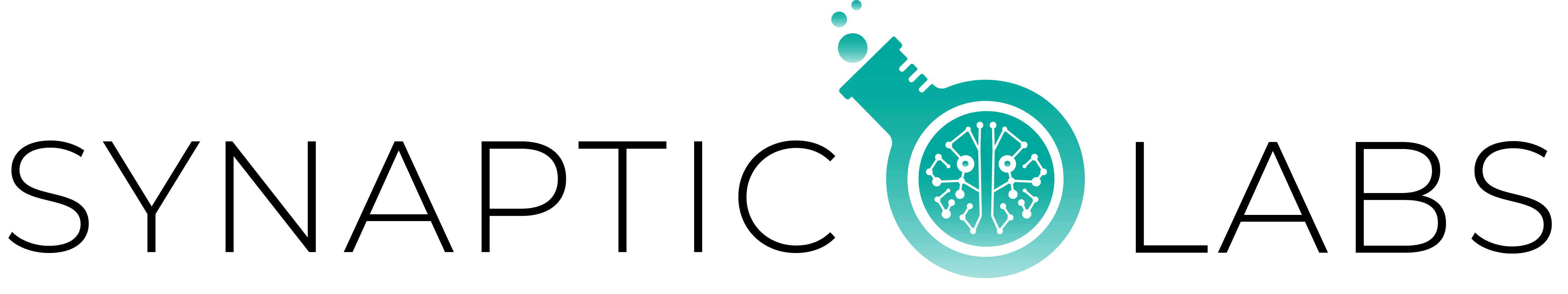 Synaptic labs blog